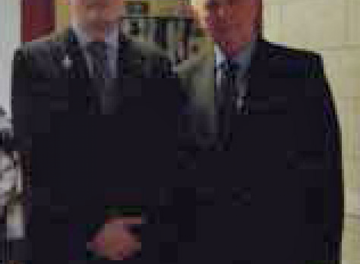 SLP_Meeting_Wales_2011_1