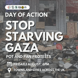 Pot and Pan Protest information